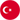 Türkçe